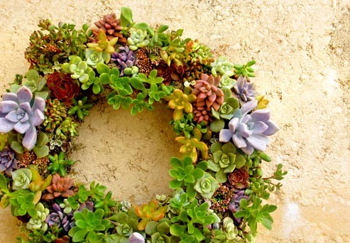 How to make a Succulent Wreath