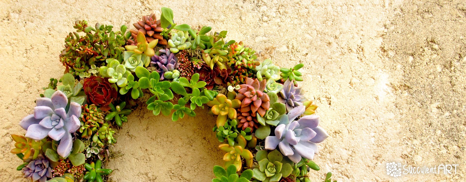 How to make a Succulent Wreath